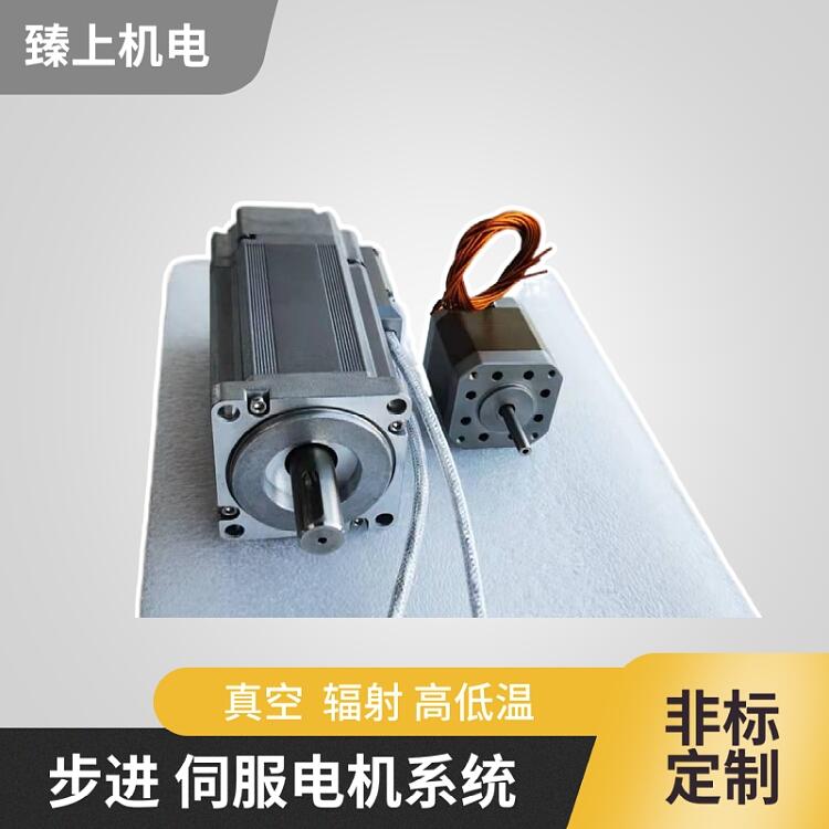 東莞市臻上機電 真空電機 低出氣高溫300℃